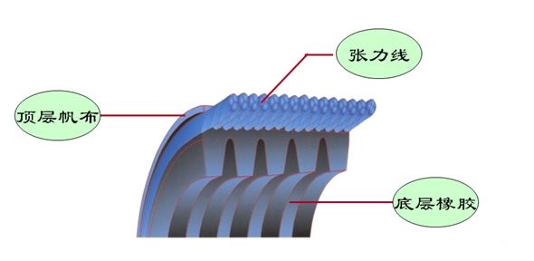 多楔带.JPG